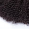 Het rang5a 6A 7A Braziliaanse kroezige krullende menselijke haar naait in nylon voor uitbreiding leverancier