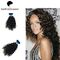 Vlot Diep Golf Maleis Maagdelijk Haar, Natuurlijk Zwart Menselijk Haarweefsel leverancier