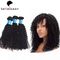 100% Natuurlijk Zwart Kroezig Krullend Europees Maagdelijk Haar van Menselijk Haarbundels leverancier