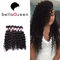 Afro Kroezige Krullende Mink 100% Peruviaanse Menselijk Haaruitbreidingen voor Zwarten leverancier